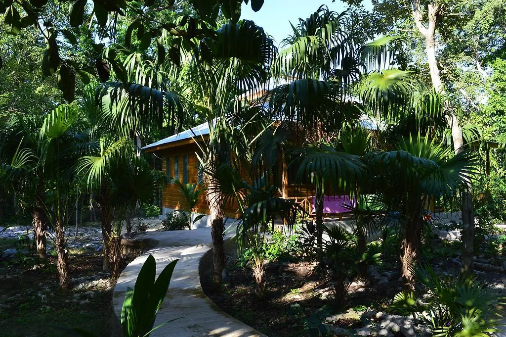 Lighthouse Inn 2 Negril 3*,